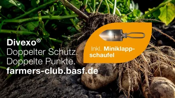 divexo_farmersclub