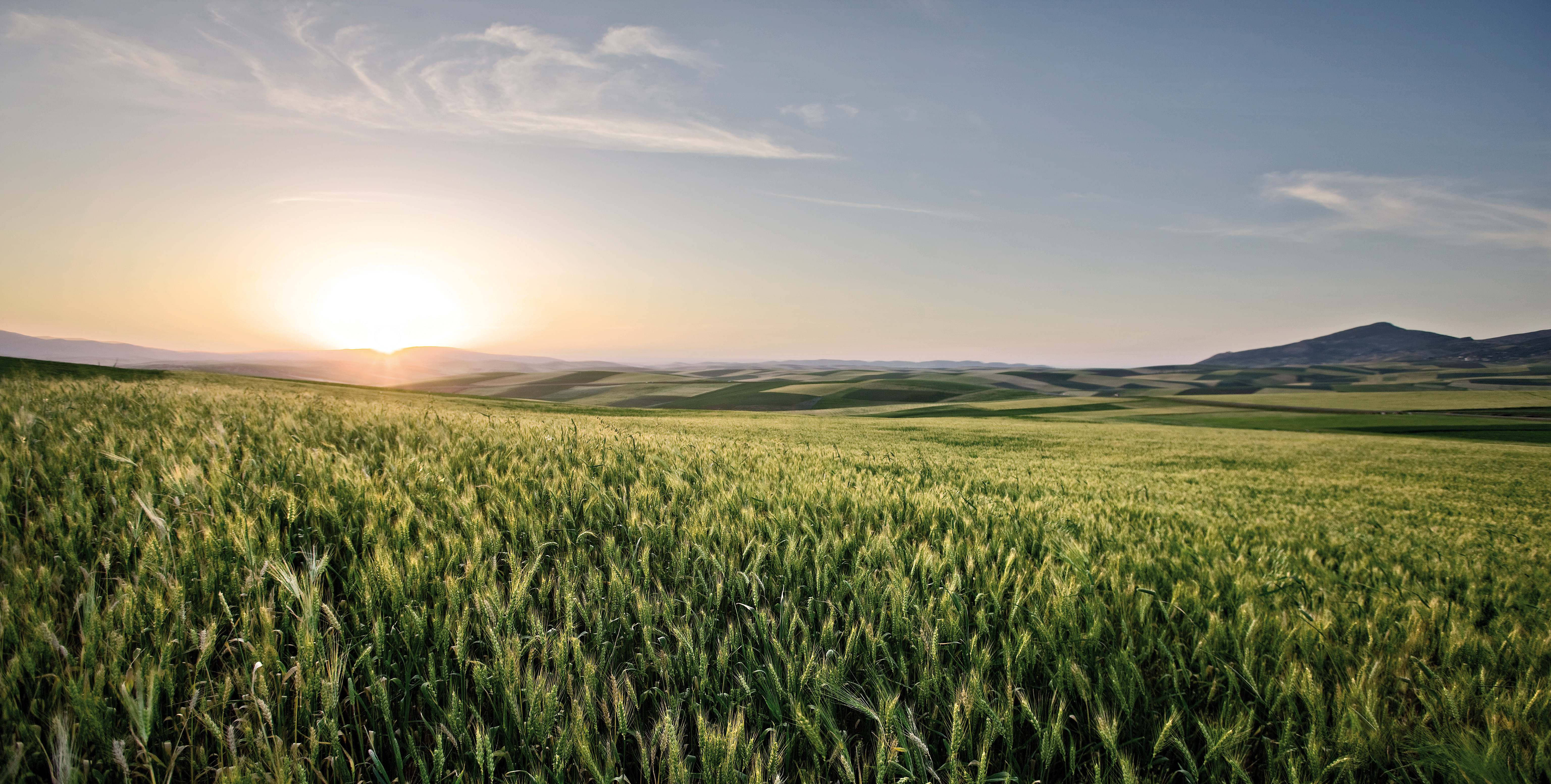 Agrarwetter von BASF Agricultural Solutions Deutschland.