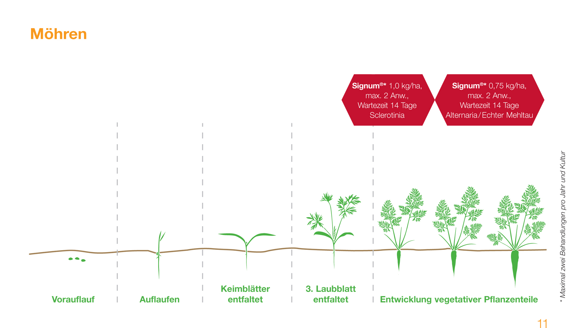 Empfehlung Signum bei Sclerotinia, Alternaria und Echter Mehltau
